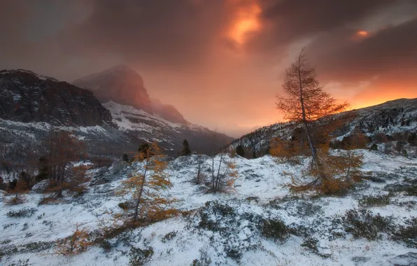 Winter, the sky, snow, trees, sunset, mountains, clouds, stones