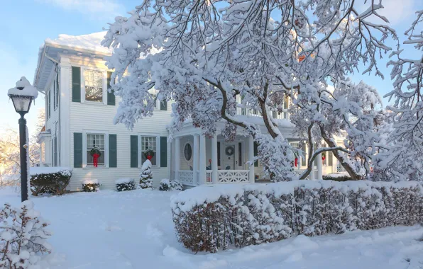 Winter, trees, house, street, mansion, New Jersey, Antonina Janowska