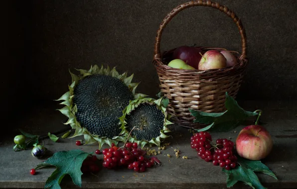 Leaves, sunflowers, berries, apples, Board, still life, basket, seeds