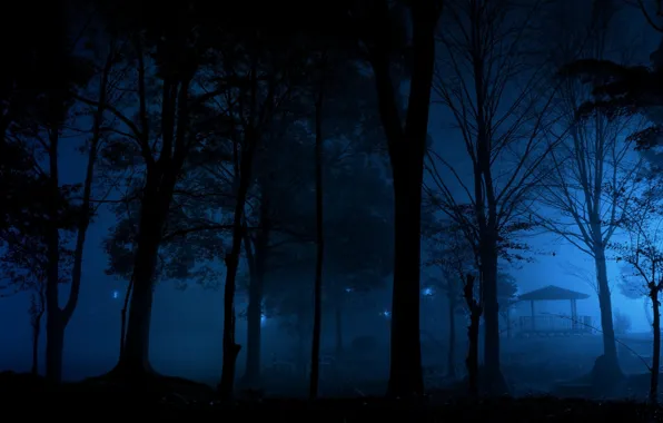 Picture trees, night, bridge, nature, dark, gazebo