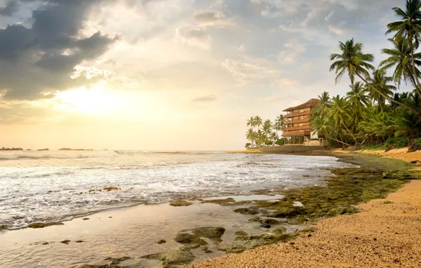 Sand, sea, beach, palm trees, shore, summer, beach, sea