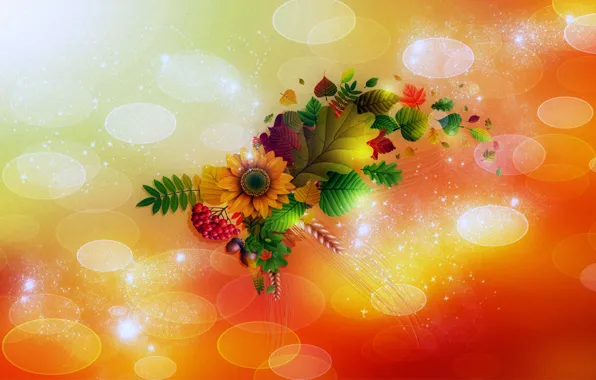 Picture leaves, light, flowers, glare, berries, collage, bouquet, ears