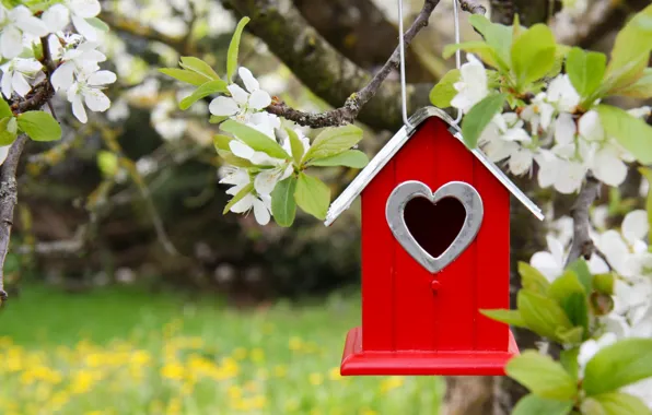 Spring, birdhouse, house, flowering