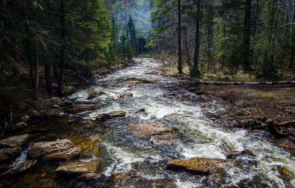 Nature, Wood, Water, River, Rocks, Trees, Stones, Daniil Silantev