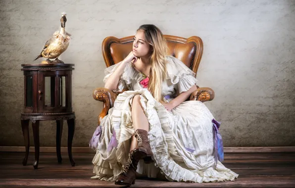 Girl, bird, chair, shoes, dress