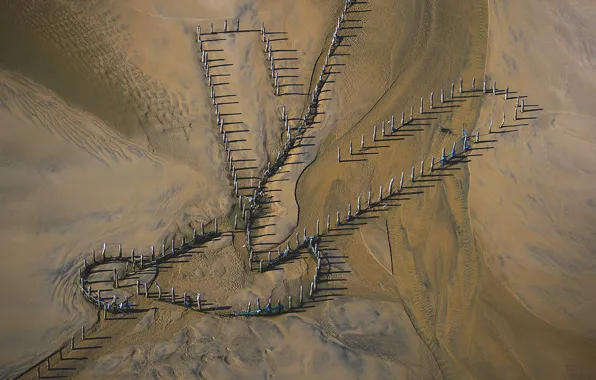 Network, fishing, tide, Brazil, corral, Fortaleza