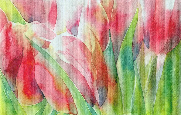 Picture flowers, picture, tulips