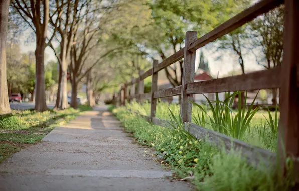 The city, street, the fence