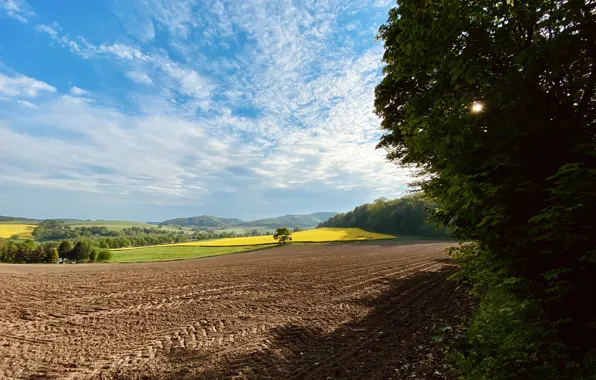 Clouds, Sky, Wood, Germany, Summer, Sunshine, Field, Trees