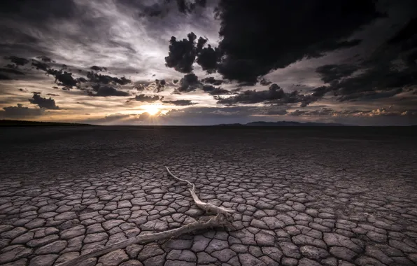 Picture the sky, night, desert