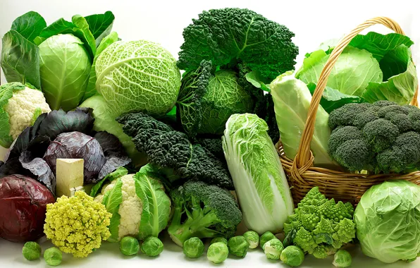 Greens, basket, vegetables, different, cabbage, varieties