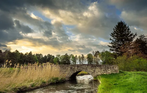 Picture bridge, nature, river