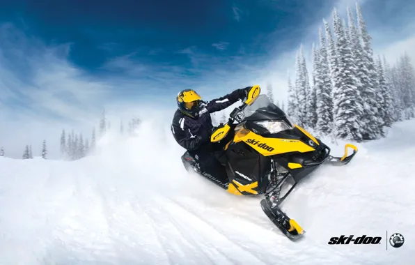 Picture forest, snow, yellow, sport, sport, snow, snowmobile, snowmobile