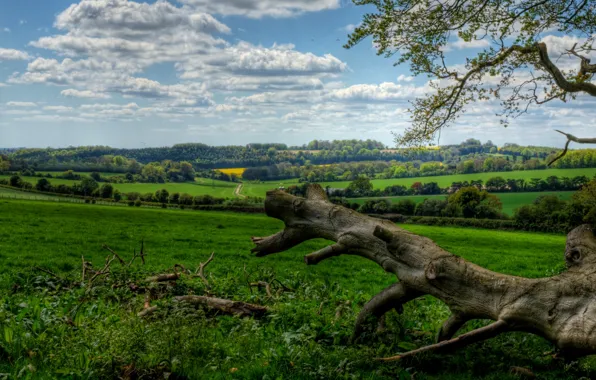 Picture wallpaper, nature, twon