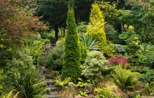 Greens, trees, Park, garden, ladder, UK, steps, the bushes