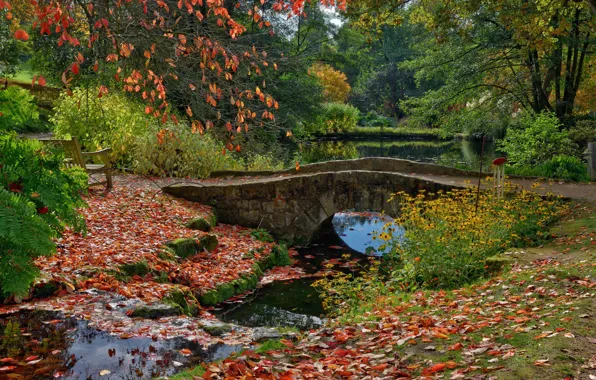 Leaves, trees, bench, bridge, pond, Park, England, Ardingly