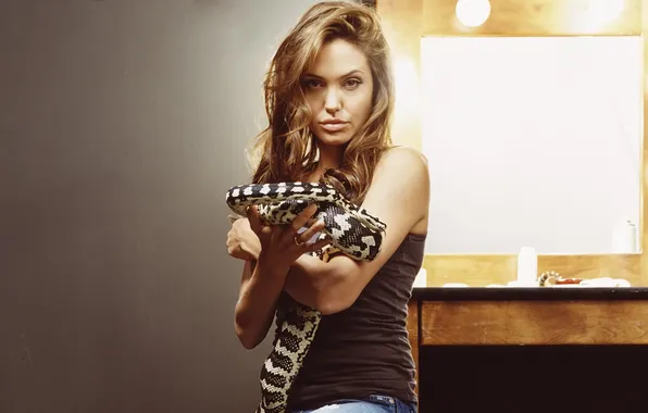 Picture light, snake, actress, mirror, Angelina Jolie, Angelina Jolie, Python
