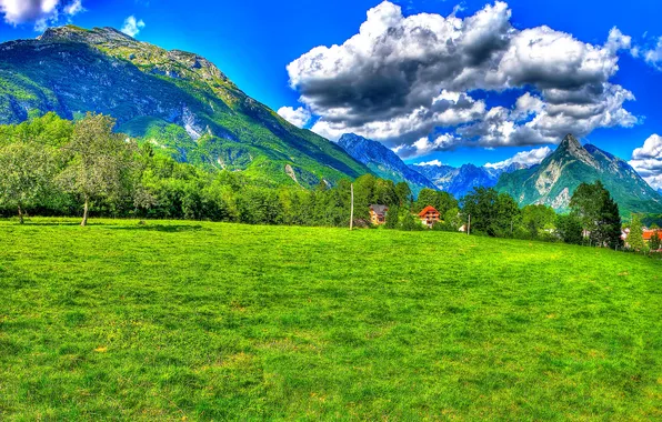 Field, the sky, grass, the sun, clouds, trees, mountains, HDR