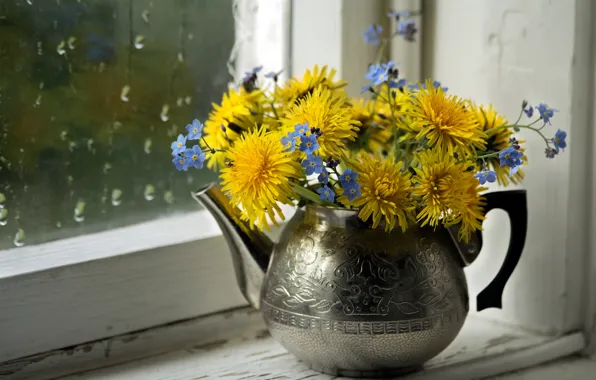 Picture kettle, window, dandelions, a bunch, forget-me-nots, on the windowsill