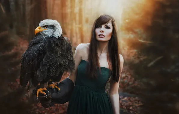 Forest, look, girl, light, face, pose, style, bird