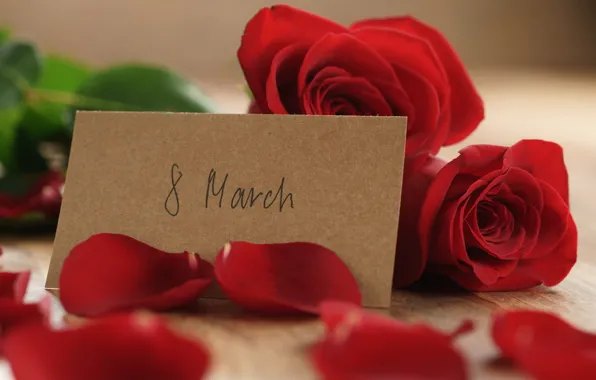 Bouquet, petals, red, March 8, romantic, gift, roses, red roses