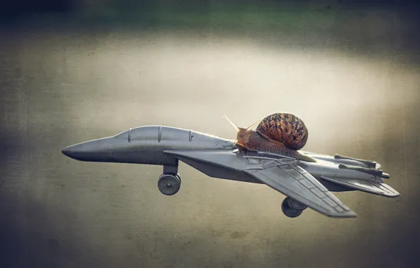 The sky, macro, flight, aviation, grey, background, toy, the game