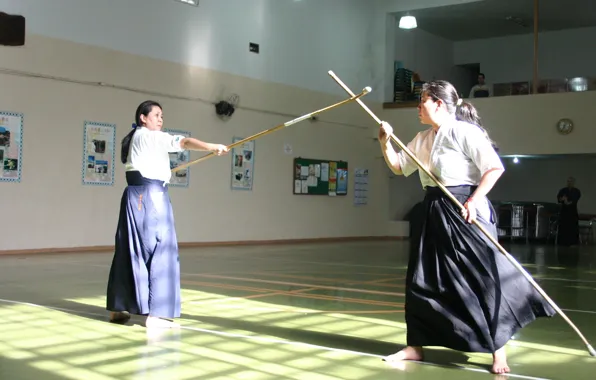 Weapon, samurai, asian, martial artist, dojo, Naginata, japonese