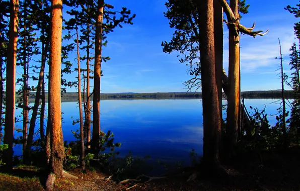 The sky, clouds, trees, lake