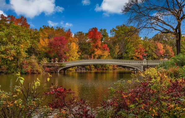 Autumn, bridge, New York, USA, Central Park