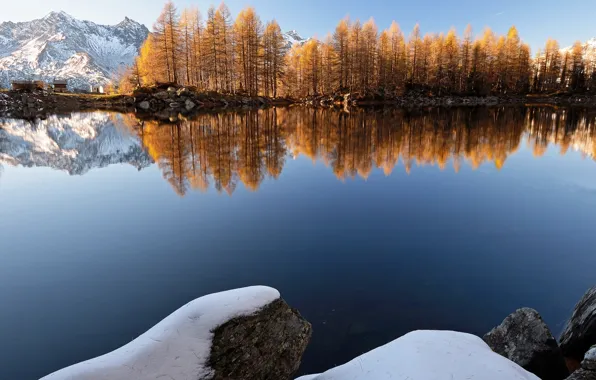 Winter, forest, snow, trees, mountains, lake