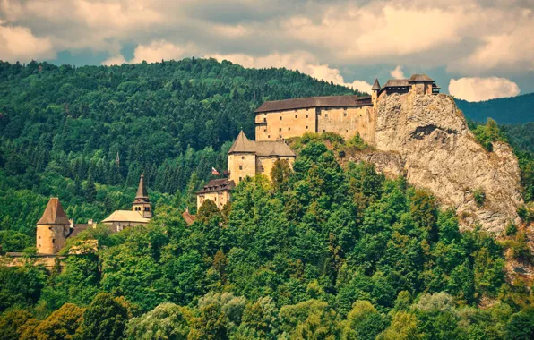 Picture greens, forest, summer, trees, mountains, castle, rocks, Sunny