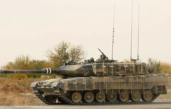 Picture grass, protection, tank, leopard 2a6