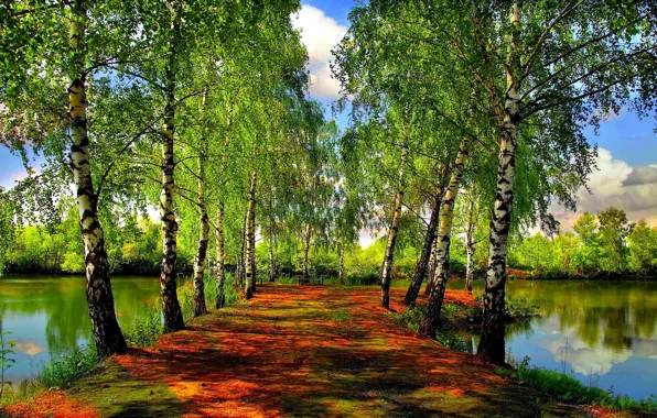 Picture FOREST, The SKY, CLOUDS, GREENS, POND, SPRING, TREES, RIVER