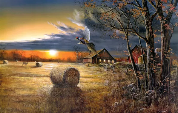 Picture field, autumn, dawn, bird, harvest, painting, Jim Hansel, Autumn Harvest