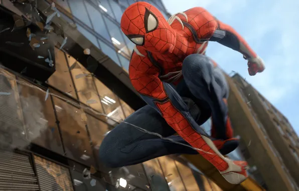 Spider, People, Spider, Man