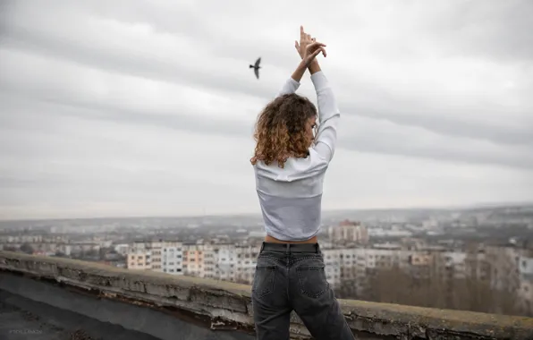 Picture girl, the city, pose, mood, bird, jeans, hands, blouse