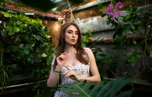 Wallpaper girl, sweetheart, model, brown hair, beautiful, super, Queen ...