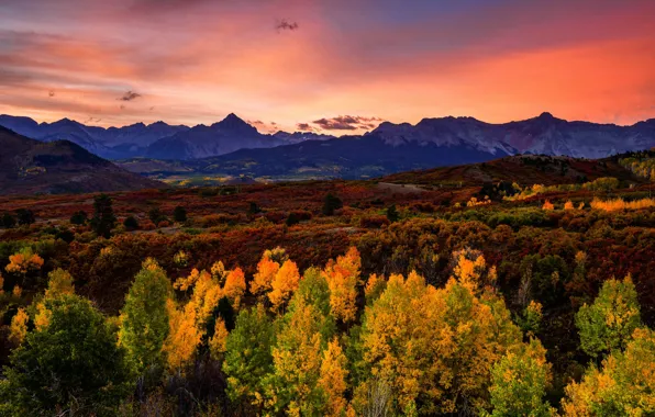 Autumn, forest, trees, sunset, mountains, hills, plan, the evening