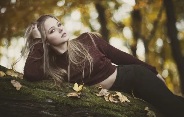 Autumn, look, leaves, pose, log