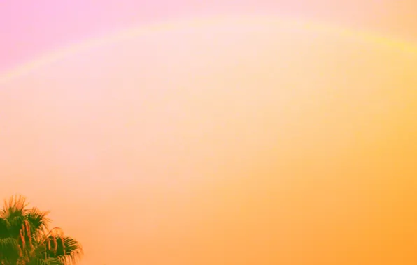 Rainbow, Nature, Sunset
