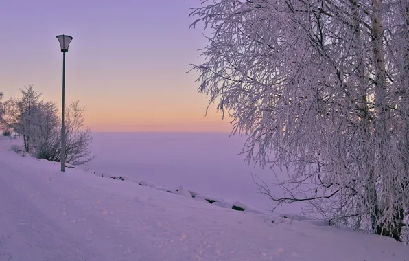 Winter, the city, morning