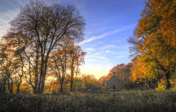 Autumn, forest, the sky, clouds, trees, Church, sunlight