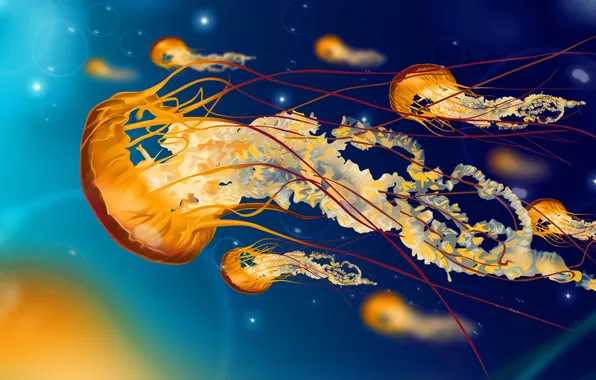 Bubbles, the ocean, vector, jellyfish