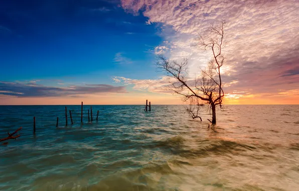 The sky, clouds, trees, sunset, lake