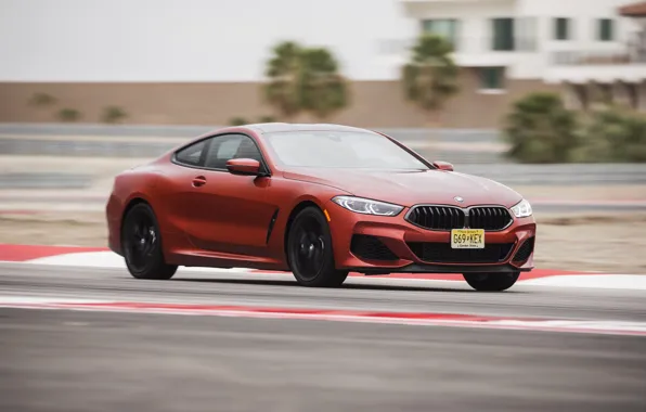 Coupe, speed, BMW, track, 2018, 8-Series, 2019, dark orange