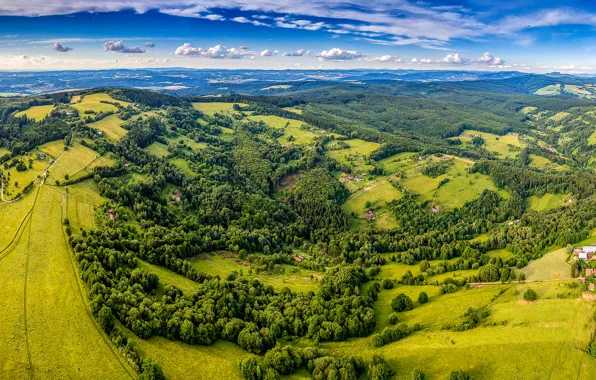 Picture greens, summer, the sky, the sun, clouds, trees, field, Czech Republic