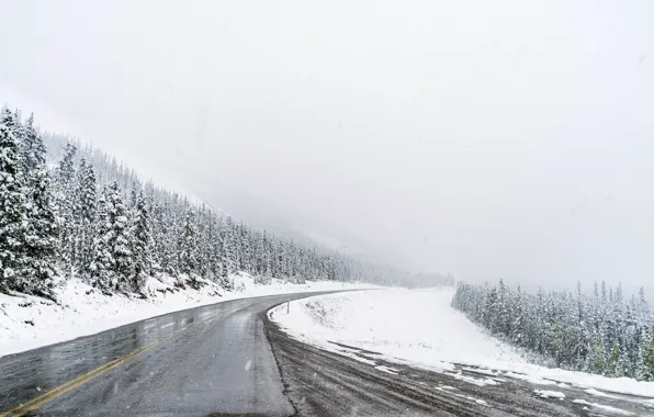 Picture road, forest, snow