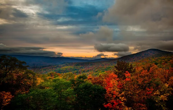 Autumn, forest, landscape, mountains, nature, photo, USA, Virginia