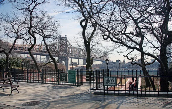 Trees, bridge, Park, river, New York