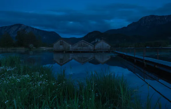 Picture forest, the sky, grass, clouds, landscape, mountains, night, bridge